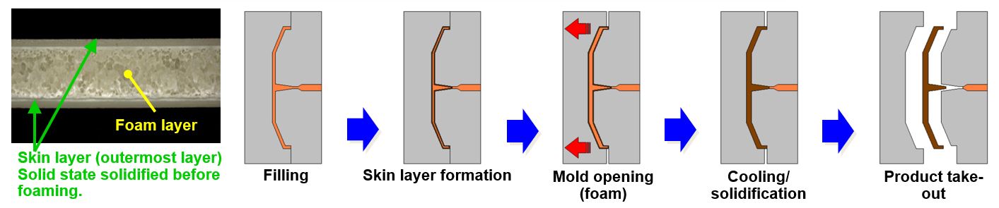 Core Back Foam Molding 1